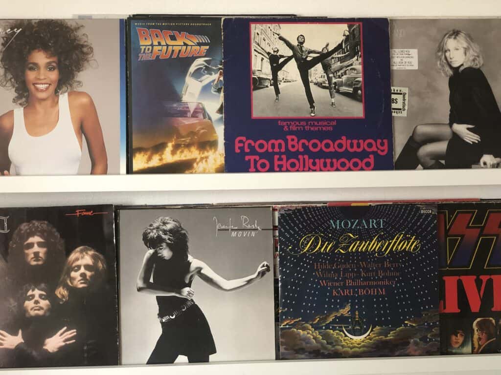 Ein Regal mit Vinyl-Schallplattencovern, darunter Alben von Whitney Houston, der Soundtrack von „Zurück in die Zukunft“ und „Vom Broadway nach Hollywood“ – die perfekte Inspiration für Ihr Eifel-Wochenende in einem gemütlichen Ferienhaus in Monschau, alles ordentlich in zwei Reihen angeordnet.