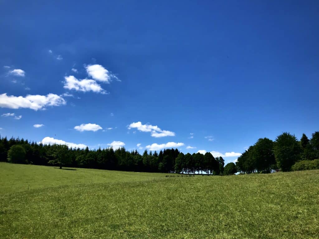 Eine weite grüne Wiese unter strahlend blauem Himmel mit vereinzelten weißen Wolken grenzt an ein Ferienhaus in Monschau. Dichte Bäume säumen den Hintergrund, Sonnenlicht wirft weiche Schatten auf das Gras – perfekt für ein Wochenende in der Eifel.